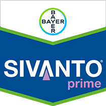 SIVANTO PRIME