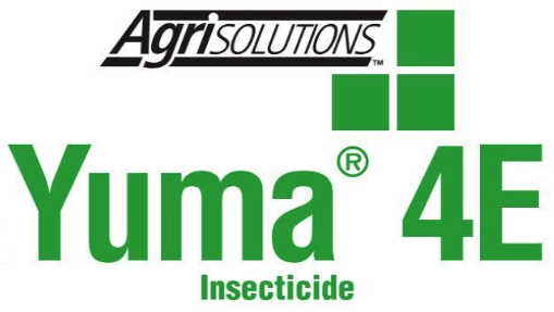 YUMA