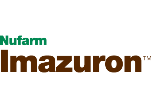 IMAZURON