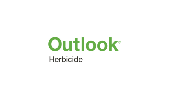 OUTLOOK