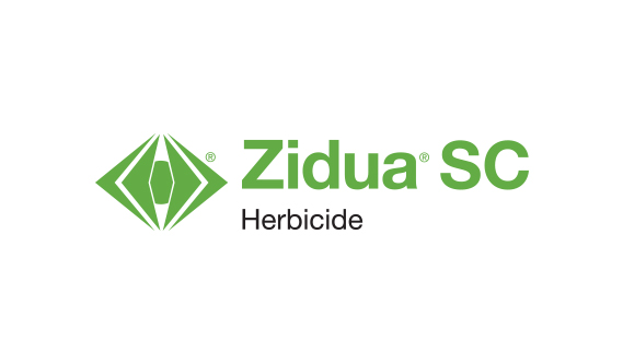 ZIDUA SC