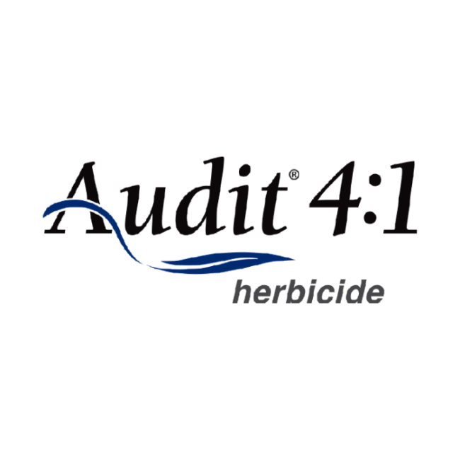 AUDIT 4:1