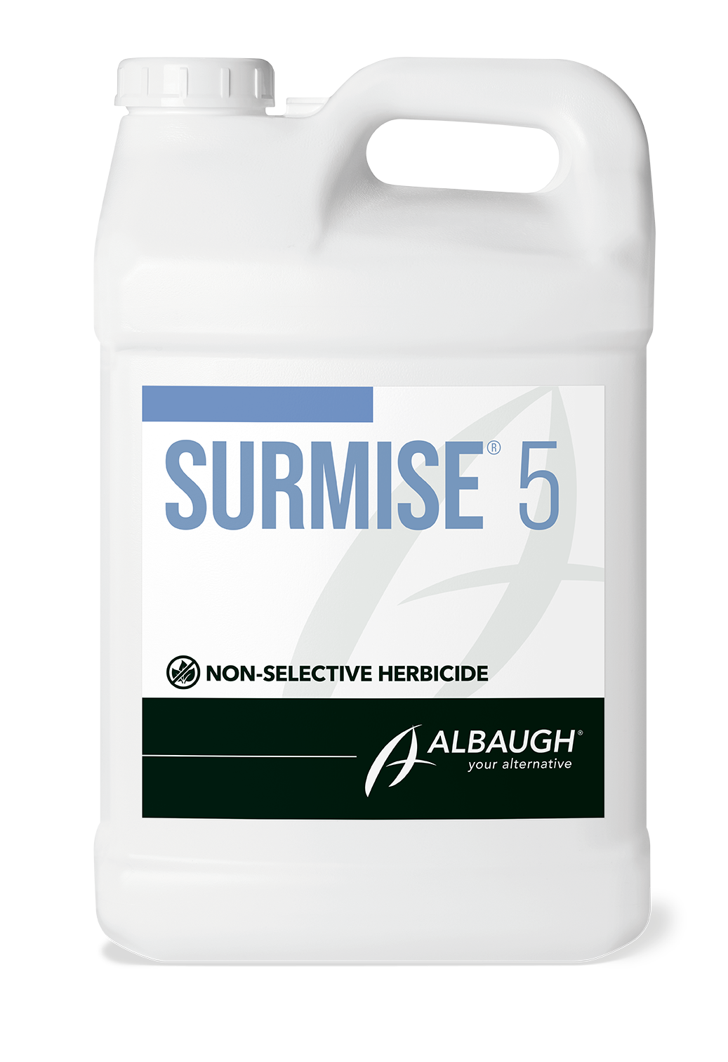 SURMISE 5