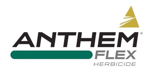 ANTHEM FLEXX
