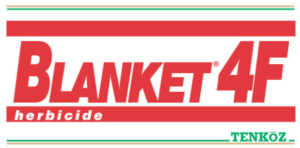 BLANKET 4F