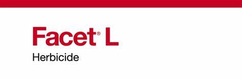 FACET L
