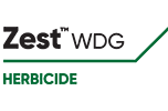 ZEST WDG