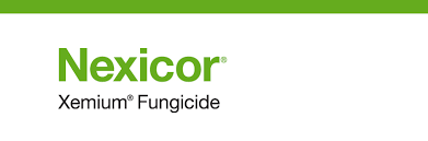 NEXICOR