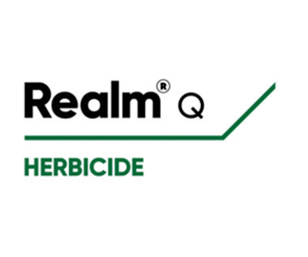 REALM Q