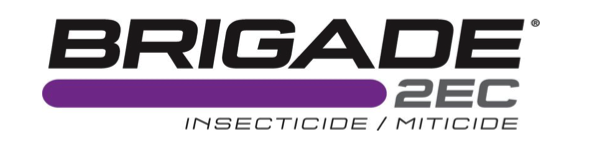 BRIGADE 2EC