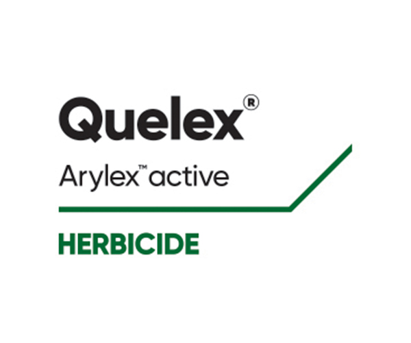 QUELEX