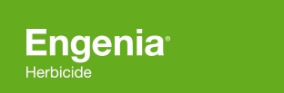 ENGENIA
