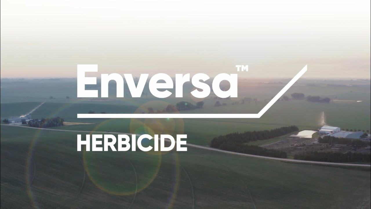 ENVERSA 1W