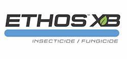 ETHOS XB
