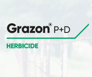 GRAZON P+D