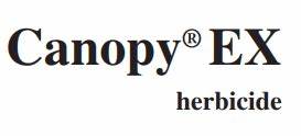 CANOPY EX