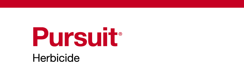 PURSUIT