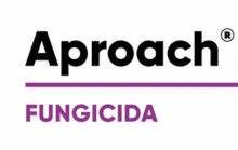 APROACH