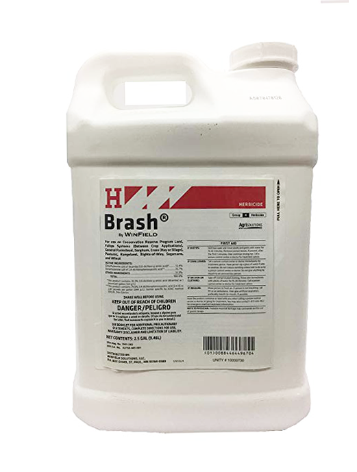 BRASH