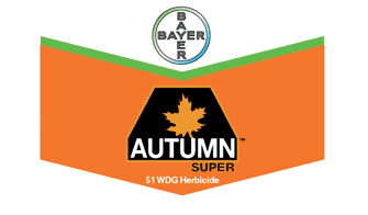 AUTUMN SUPER