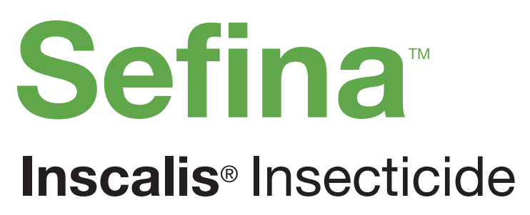 SEFINA INSCALIS