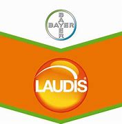 LAUDIS