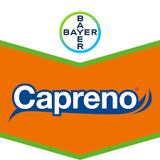 CAPRENO