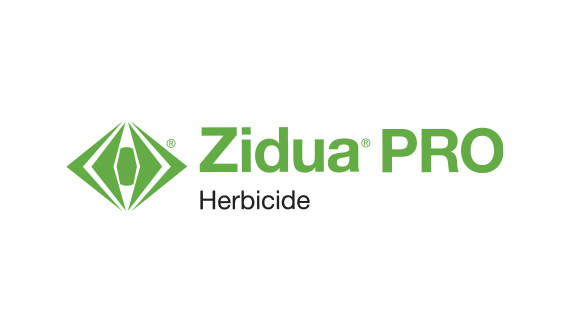 ZIDUA PRO