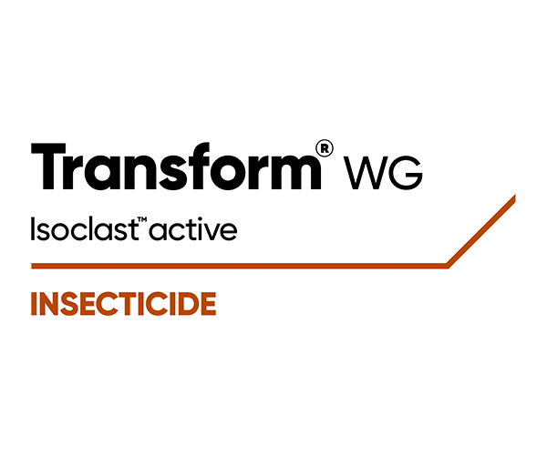 TRANSFORM WG