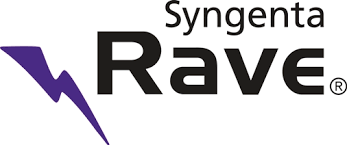 RAVE