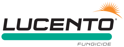 LUCENTO