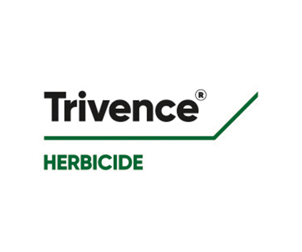 TRIVENCE