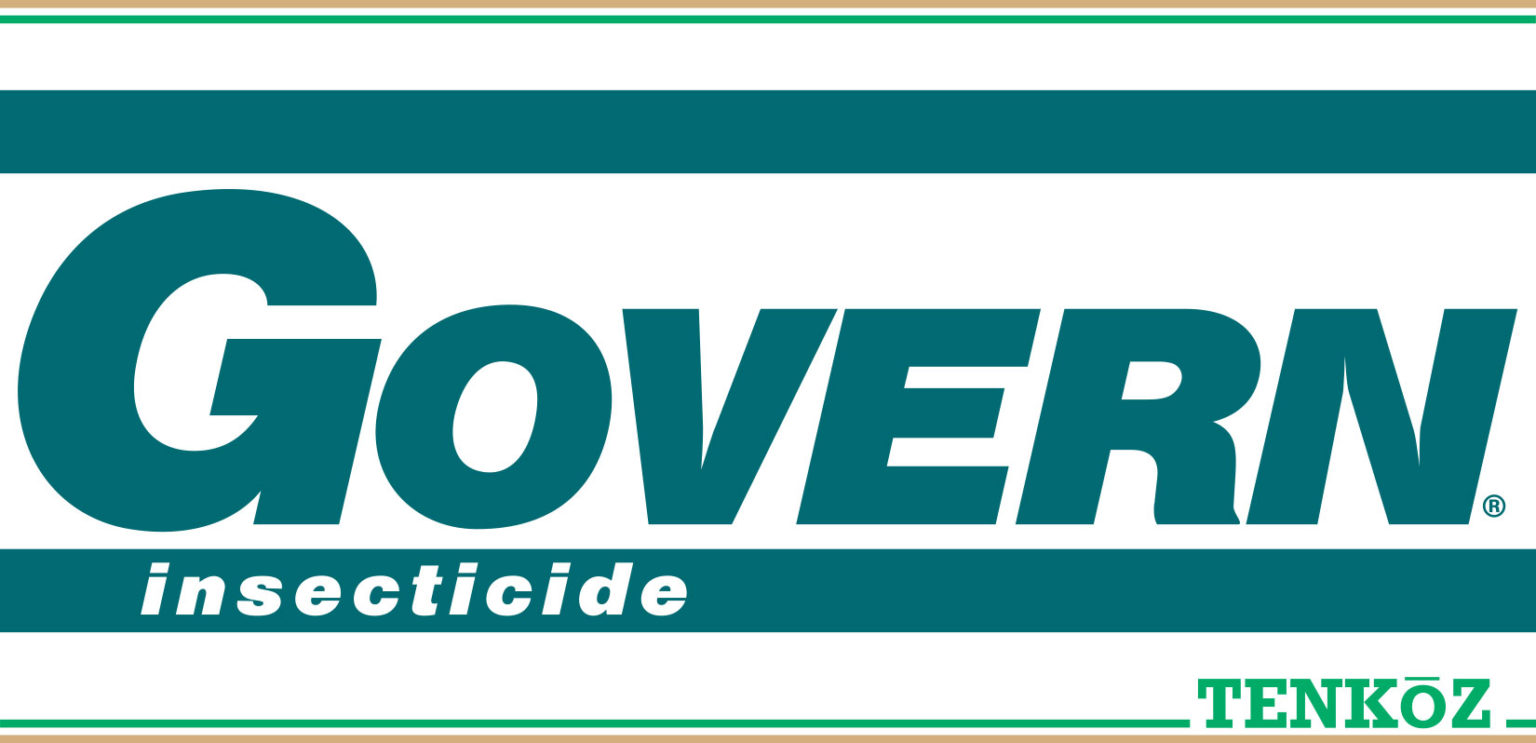 GOVERN