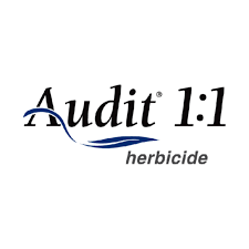 AUDIT 1.1
