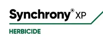 SYNCHRONY XP