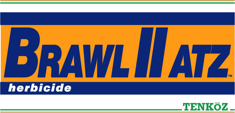 BRAWL II ATZ