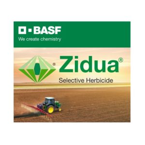 ZIDUA