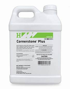 CORNERSTONE PLUS#4
